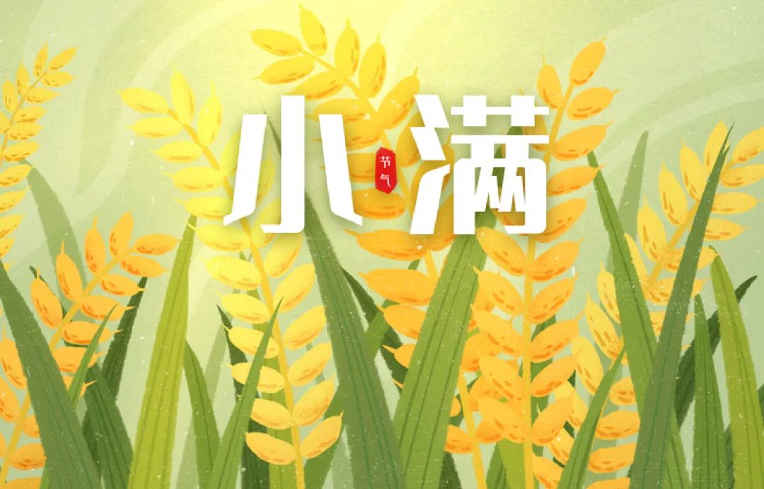 法律人生|奥迪小满变“大瞒”，原创保护岂能“小满就好”？