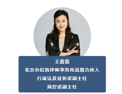 王蕾蕾 王蕾蕾