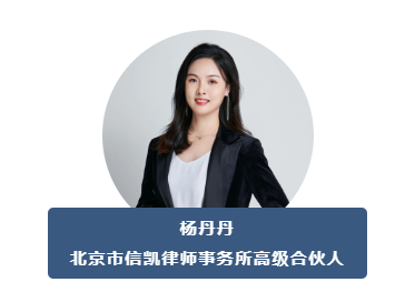 杨丹丹 杨丹丹