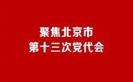 信凯党建|我所学习贯彻北京市第十三次党代会精神