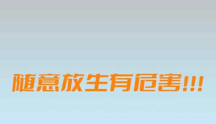 信凯律师事务所 信凯律师事务所